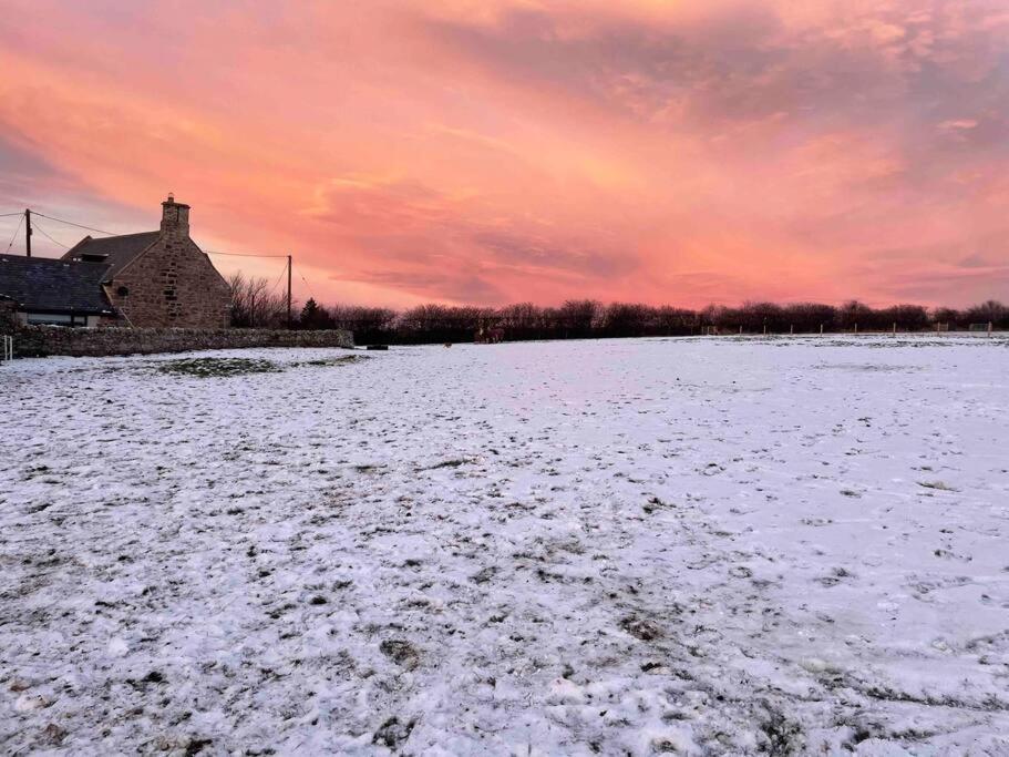 Prior House Farm Villa Berwick Upon Tweed Ngoại thất bức ảnh